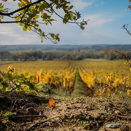 Domaine de Beauséjour Panzoult Esterno foto