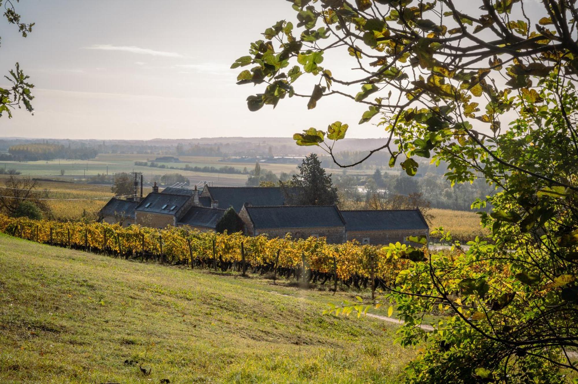 Domaine de Beauséjour Panzoult Esterno foto