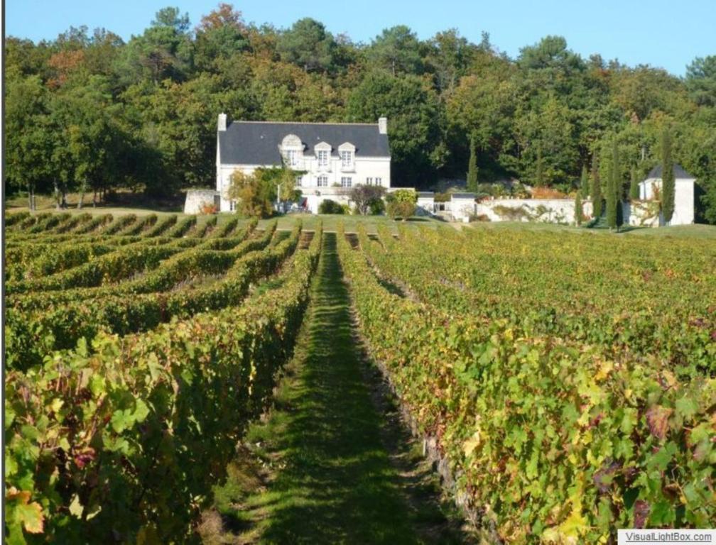 Domaine de Beauséjour Panzoult Esterno foto